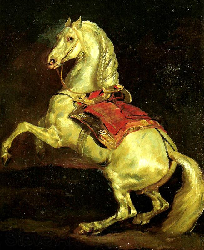Theodore   Gericault cheval cabre, dit tamerlan Germany oil painting art
